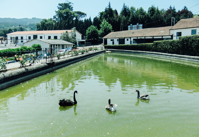 Hipódromo São Martinho de Candoso